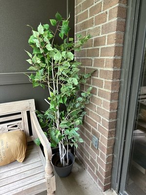 Photo of free Faux tree in planter 5’ (McLean, VA)