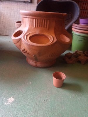 Photo of free Plant pots (Banbury OX16)