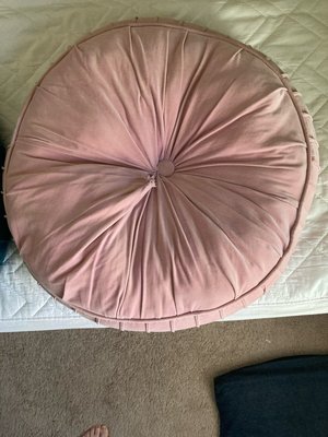 Photo of free 2 large cushions (Evanston-Robert Crown area)