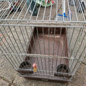 Photo of free Bird Cage (Huntingdon PE29)