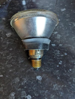 Photo of free Big lightbulbs. (Cramond EH4)