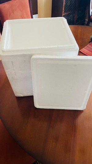 Photo of free Styrofoam Cooler (Central Alameda)