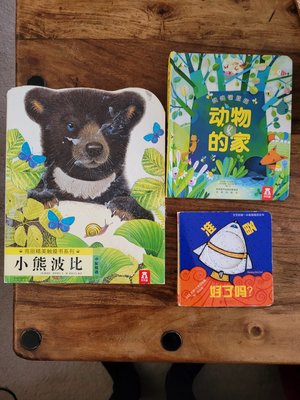 Photo of free Baby/toddler books in Chinese (Edmonton, N18)