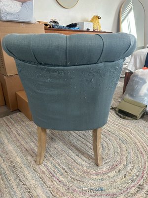 Photo of free Cat-scratched Chair (90019)