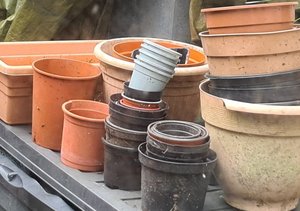 Photo of free Plastic plant pots (St Just TR19)