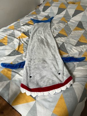 Photo of free Shark blanket (Nottingham NG5)