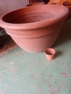 Photo of free Plant pots (Banbury OX16)