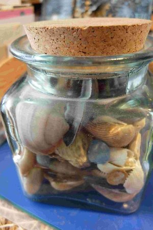 Photo of free Glass jar full of shells..... (Harrogate HG1)