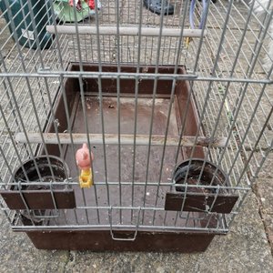 Photo of free Bird Cage (Huntingdon PE29)