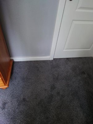 Photo of free grey carpet (new) suit bedroom: (wv4 4tr) (Tettenhall Wood WV6)