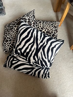 Photo of free 3 Animal Print Cushions (Wickford SS11)