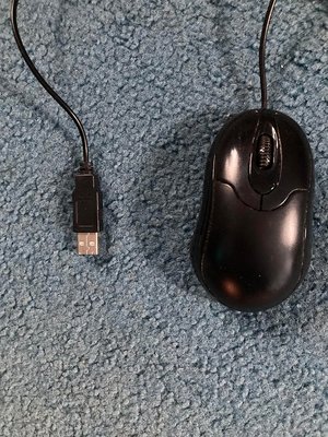 Photo of mouse with USB connection (Spring Hill, Somerville)