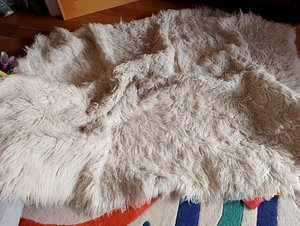 Photo of free Large white Flokati wool rug (Newington Green N16)