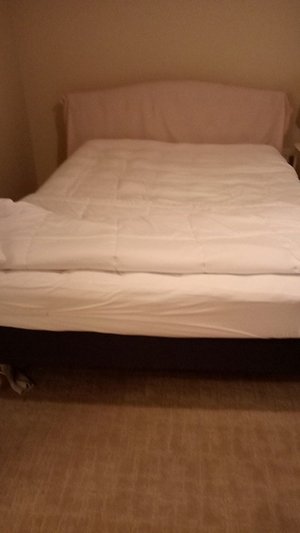 Photo of free Queen size Bed (South St. Petersburg, Maximo)