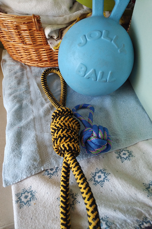 Photo of free Dog tug toys and a Jolly Ball (Greenbank and Hunt Club)