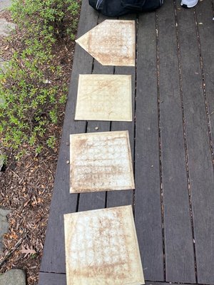 Photo of free Rubber baseball bases (Chevy Chase, md)
