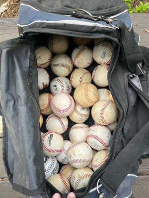 Photo of free Bag of baseballs (Chevy Chase, md)