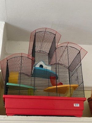 Photo of free hamster cage (Highbury New Park N5)