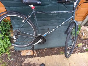 Photo of free Saracen Bicycle (Doddinghurst CM15)