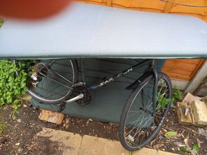 Photo of free Saracen Bicycle (Doddinghurst CM15)