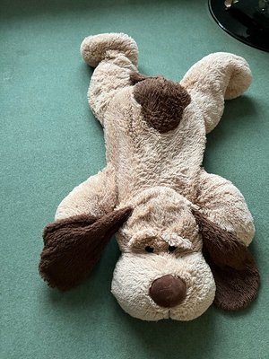 Photo of free Large soft toy dog (Eastcote HA4)