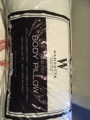 Photo of free Body pillow + 2 pillowcases (NE Ithaca)
