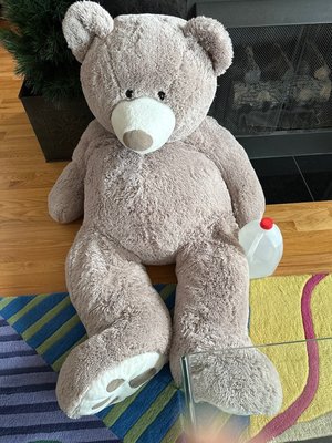 Photo of free Giant Stuffed Bear (60605)