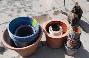 Photo of free Plant pots (Buxted TN22)