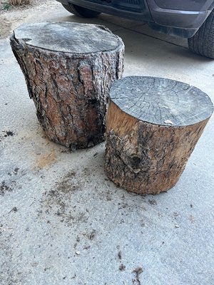 Photo of free 2 Ponderosa Pine Stumps (Boulder County-75th/Valmont)