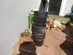 Photo of free Around 20 pots for fruit and veg (Burnham on sea Central TA8)