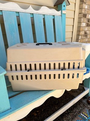 Photo of free Pet carrier and self-feeder (Euless)