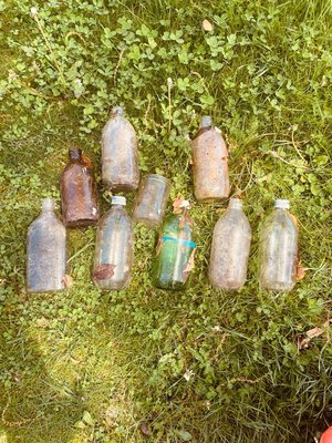 Photo of free Old bottles (Olney)