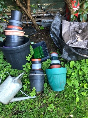 Photo of free Garden plant pots (Peasedown St John CP BA2)