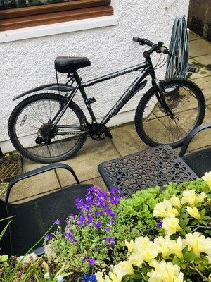 Photo of free Specialized mountain bike (Aberdeen. Ferryhill)