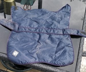 Photo of free Large dog coat and Large bed (Queen Edith's Ward CB1)
