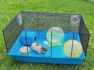 Photo of free Small Pet Cage (Weston-super-Mare)