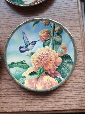 Photo of free Set of 8 decorative plates (Cookridge, LS16)