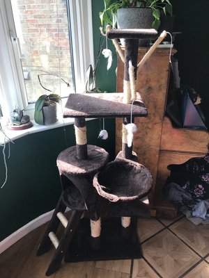 Photo of free Cat tree playhouse - reserved (Thorney, Peterborough)