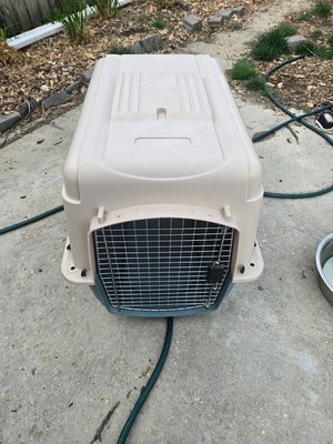 Photo of Dog crate (Parkville)