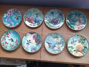 Photo of free Set of 8 decorative plates (Cookridge, LS16)