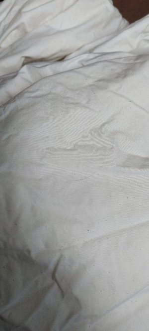 Photo of free Single duvet/quilt duck feather (Lower Weston)