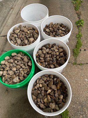 Photo of free 60+ buckets of rocks (rocks only) (Between Art Mart & St Matt's)