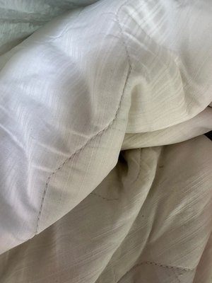 Photo of free Comforter, mattress pad and pillows (Morgan hill)
