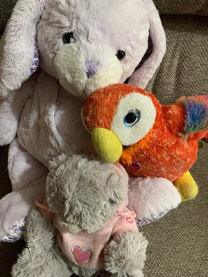 Photo of free Cuddly Rabbit, Parrot & Bear (Browns Wood MK7)