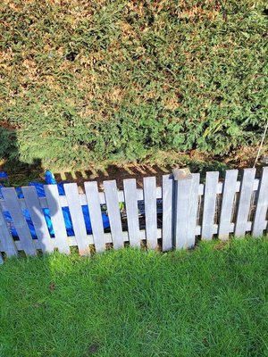 Photo of free Approx 60 feet garden fencing (Bishop Auckland)