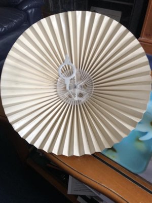 Photo of free Uplighter Pendant Shade (Selsdon CR2)
