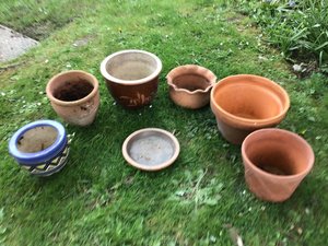 Photo of free Assorted plant pots (Horsham)
