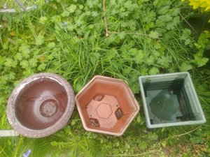 Photo of free 3 medium plant pots (Loughton IG10)