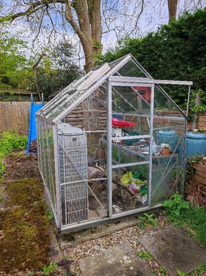 Photo of free Greenhouse (Cassiobury WD17)