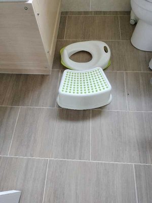 Photo of free Child's toilet seat and step (Caldy Valley CH3)